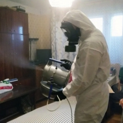 Дезинфекция от клопов в Бежецке