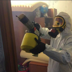 Уничтожение клопов в квартире. Бежецк